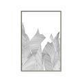 Picture of Leafy Lines I _GroupedProduct_Rectangle_Portrait_Canvas_Framed_