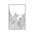 Picture of Leafy Lines I _GroupedProduct_Rectangle_Portrait_Canvas_Framed_