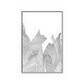 Picture of Leafy Lines I _GroupedProduct_Rectangle_Portrait_Canvas_Framed_