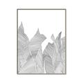 Picture of Leafy Lines I _GroupedProduct_Rectangle_Portrait_Canvas_Framed_
