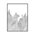 Picture of Leafy Lines I _GroupedProduct_Rectangle_Portrait_Canvas_Framed_