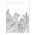 Picture of Leafy Lines I _GroupedProduct_Rectangle_Portrait_Canvas_Framed_