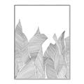 Picture of Leafy Lines I _GroupedProduct_Rectangle_Portrait_Canvas_Framed_