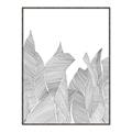 Picture of Leafy Lines I _GroupedProduct_Rectangle_Portrait_Canvas_Framed_