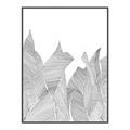 Picture of Leafy Lines I _GroupedProduct_Rectangle_Portrait_Canvas_Framed_