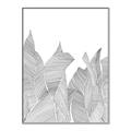 Picture of Leafy Lines I _GroupedProduct_Rectangle_Portrait_Canvas_Framed_