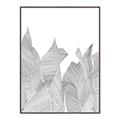 Picture of Leafy Lines I _GroupedProduct_Rectangle_Portrait_Canvas_Framed_