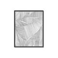 Picture of Leafy Lines II _GroupedProduct_Rectangle_Portrait_Canvas_Framed_
