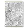 Picture of Leafy Lines II _GroupedProduct_Rectangle_Portrait_Canvas_Framed_