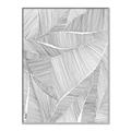 Picture of Leafy Lines II _GroupedProduct_Rectangle_Portrait_Canvas_Framed_