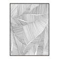 Picture of Leafy Lines II _GroupedProduct_Rectangle_Portrait_Canvas_Framed_