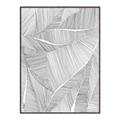 Picture of Leafy Lines II _GroupedProduct_Rectangle_Portrait_Canvas_Framed_