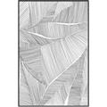 Picture of Leafy Lines II _GroupedProduct_Rectangle_Portrait_Canvas_Framed_