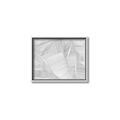 Picture of Leafy Lines III _GroupedProduct_Rectangle_Landscape_Canvas_Framed_