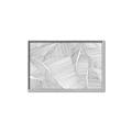 Picture of Leafy Lines III _GroupedProduct_Rectangle_Landscape_Canvas_Framed_