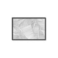 Picture of Leafy Lines III _GroupedProduct_Rectangle_Landscape_Canvas_Framed_