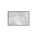 Picture of Leafy Lines III _GroupedProduct_Rectangle_Landscape_Canvas_Framed_