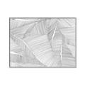 Picture of Leafy Lines III _GroupedProduct_Rectangle_Landscape_Canvas_Framed_