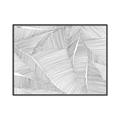 Picture of Leafy Lines III _GroupedProduct_Rectangle_Landscape_Canvas_Framed_