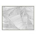 Picture of Leafy Lines III _GroupedProduct_Rectangle_Landscape_Canvas_Framed_
