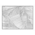 Picture of Leafy Lines III _GroupedProduct_Rectangle_Landscape_Canvas_Framed_