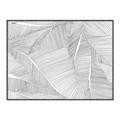 Picture of Leafy Lines III _GroupedProduct_Rectangle_Landscape_Canvas_Framed_