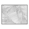 Picture of Leafy Lines III _GroupedProduct_Rectangle_Landscape_Canvas_Framed_