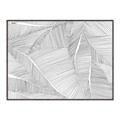 Picture of Leafy Lines III _GroupedProduct_Rectangle_Landscape_Canvas_Framed_