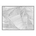 Picture of Leafy Lines III _GroupedProduct_Rectangle_Landscape_Canvas_Framed_