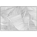 Picture of Leafy Lines III _GroupedProduct_Rectangle_Landscape_Canvas_Framed_