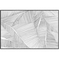 Picture of Leafy Lines III _GroupedProduct_Rectangle_Landscape_Canvas_Framed_
