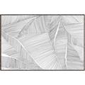 Picture of Leafy Lines III _GroupedProduct_Rectangle_Landscape_Canvas_Framed_