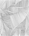 Picture of Leafy Lines II _GroupedProduct_Rectangle_Portrait_Unframed_Print_Only_