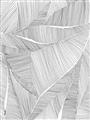 Picture of Leafy Lines II _GroupedProduct_Rectangle_Portrait_Unframed_Print_Only_
