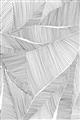 Picture of Leafy Lines II _GroupedProduct_Rectangle_Portrait_Unframed_Print_Only_