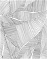 Picture of Leafy Lines II _GroupedProduct_Rectangle_Portrait_Unframed_Print_Only_