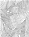 Picture of Leafy Lines II _GroupedProduct_Rectangle_Portrait_Unframed_Print_Only_