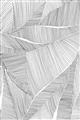 Picture of Leafy Lines II _GroupedProduct_Rectangle_Portrait_Unframed_Print_Only_