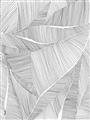 Picture of Leafy Lines II _GroupedProduct_Rectangle_Portrait_Unframed_Print_Only_