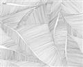Picture of Leafy Lines III _GroupedProduct_Rectangle_Landscape_Unframed_Print_Only_