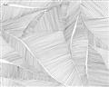 Picture of Leafy Lines III _GroupedProduct_Rectangle_Landscape_Unframed_Print_Only_