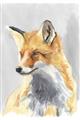 Picture of Red Fox I _GroupedProduct_Rectangle_Portrait_Unframed_Print_Only_