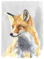 Picture of Red Fox I _GroupedProduct_Rectangle_Portrait_Unframed_Print_Only_
