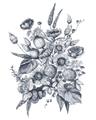 Picture of Sketched Fall Blooms _GroupedProduct_Rectangle_Portrait_Unframed_Print_Only_