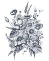 Picture of Sketched Fall Blooms _GroupedProduct_Rectangle_Portrait_Unframed_Print_Only_