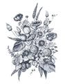 Picture of Sketched Fall Blooms _GroupedProduct_Rectangle_Portrait_Unframed_Print_Only_