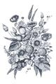 Picture of Sketched Fall Blooms _GroupedProduct_Rectangle_Portrait_Unframed_Print_Only_