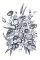 Picture of Sketched Fall Blooms _GroupedProduct_Rectangle_Portrait_Unframed_Print_Only_