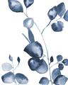 Picture of Blue Water Colour Leaves _GroupedProduct_Rectangle_Portrait_Unframed_Print_Only_