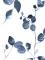 Picture of Blue Water Colour Leaves II _GroupedProduct_Rectangle_Portrait_Unframed_Print_Only_